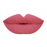 Long Wear Matte Lip Gloss